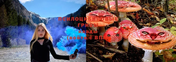 a pvp Нефтекумск
