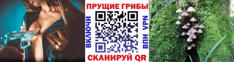 Галлюциногенные грибы мухоморы  Злынка 